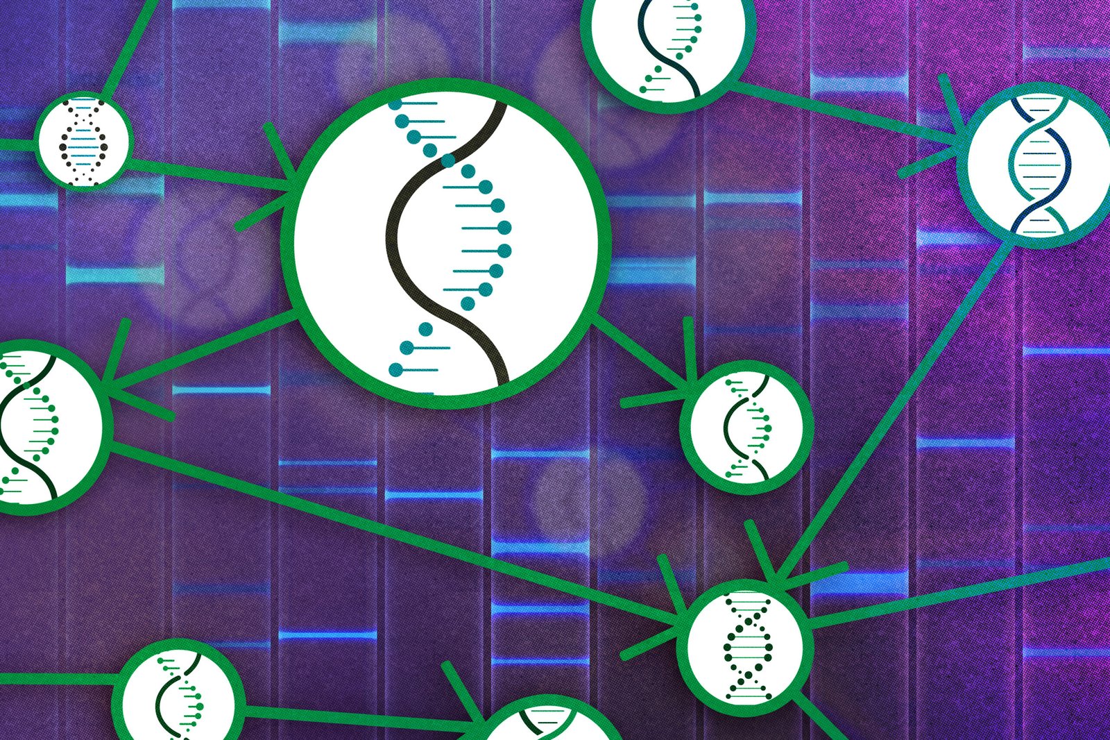 Causal theory for the study of gene cause-effect relationships